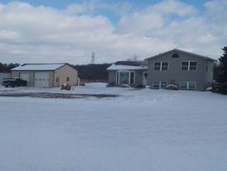 Onsted, MI Repo Homes